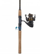 Daiwa BG Spinning Combo