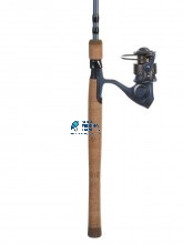 Pflueger President