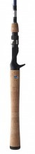 Daiwa Aird Coastal