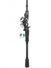 Abu Garcia Veritas Casting Combo